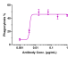 Anti-CD47 Reference Antibody (lemzoparlimab)